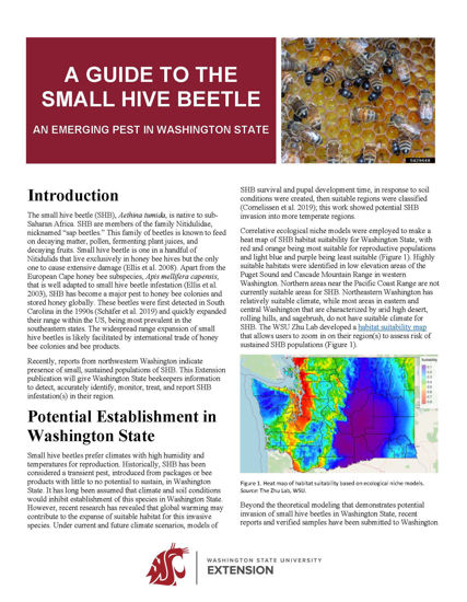 Picture of A Guide to the Small Hive Beetle: An Emerging Pest in Washington State